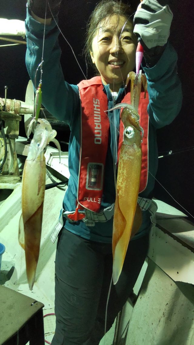 マイカ(ケンサキイカ)