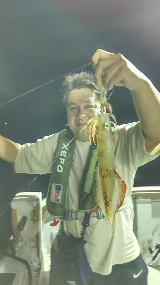 マイカ(ケンサキイカ)