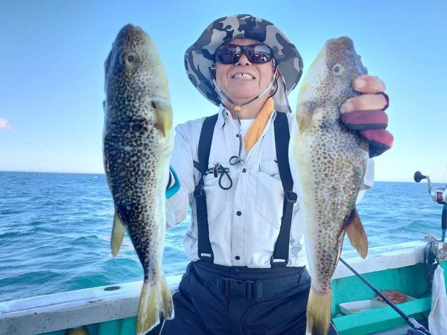 ショウサイフグ