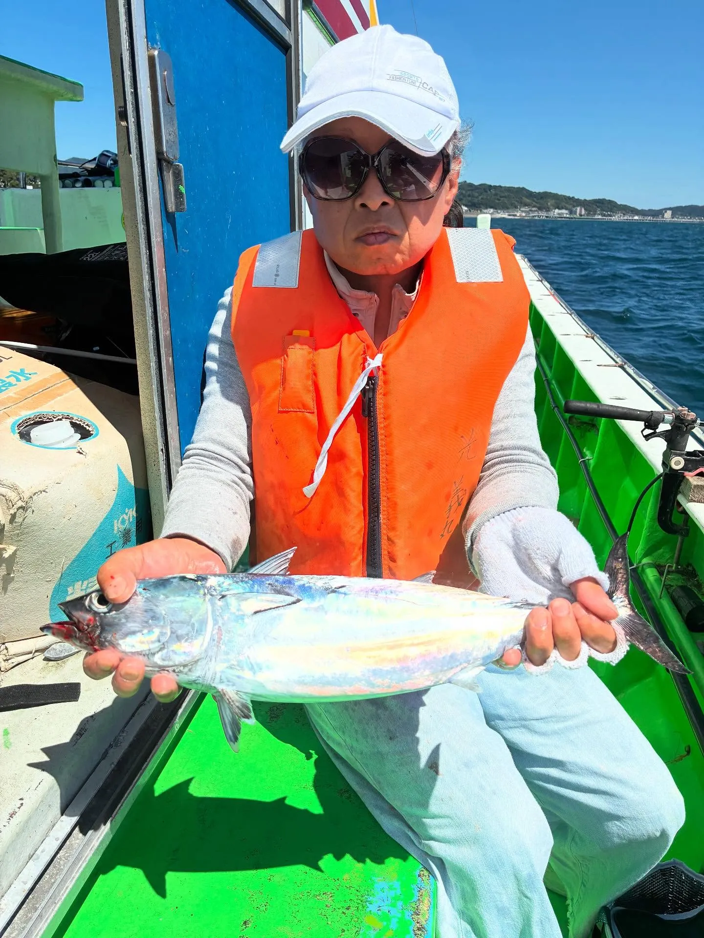 ヒラソーダ(ヒラソウダ)