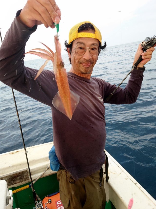 シロイカ(ケンサキイカ)