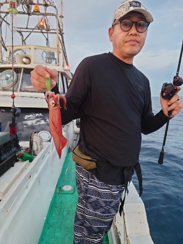 シロイカ(ケンサキイカ)