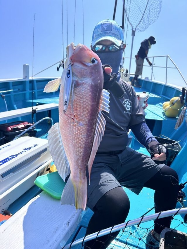 アマダイ(アカアマダイ)