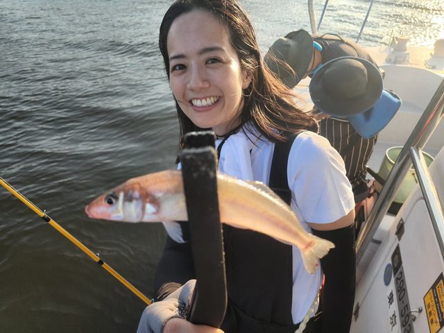 キス(シロギス)