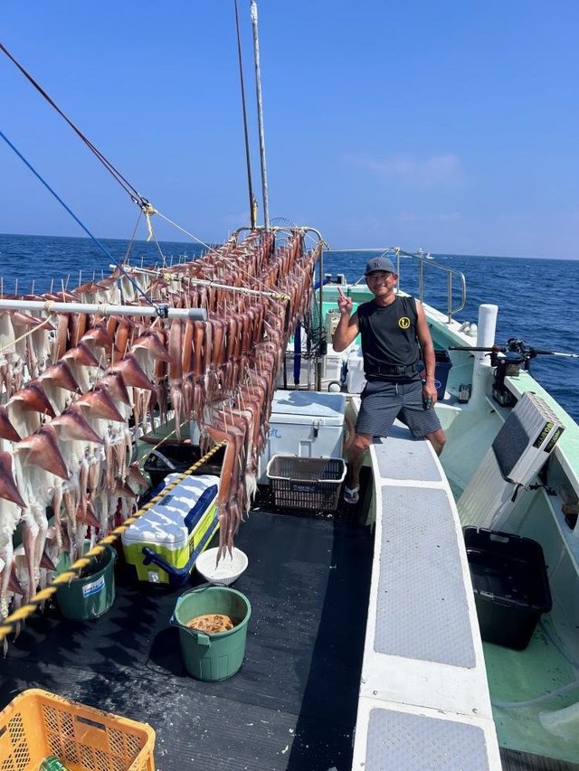 スルメ(スルメイカ)