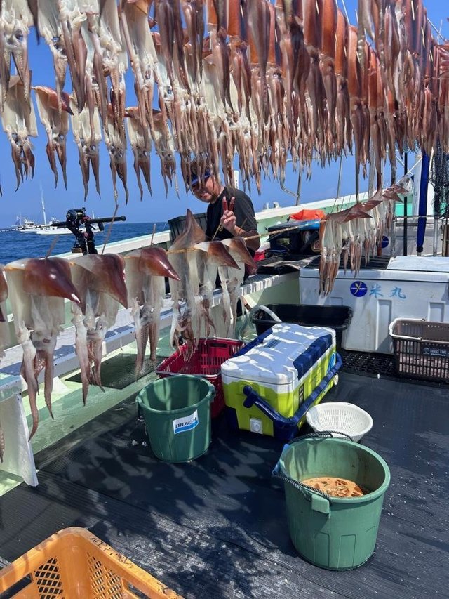 スルメ(スルメイカ)