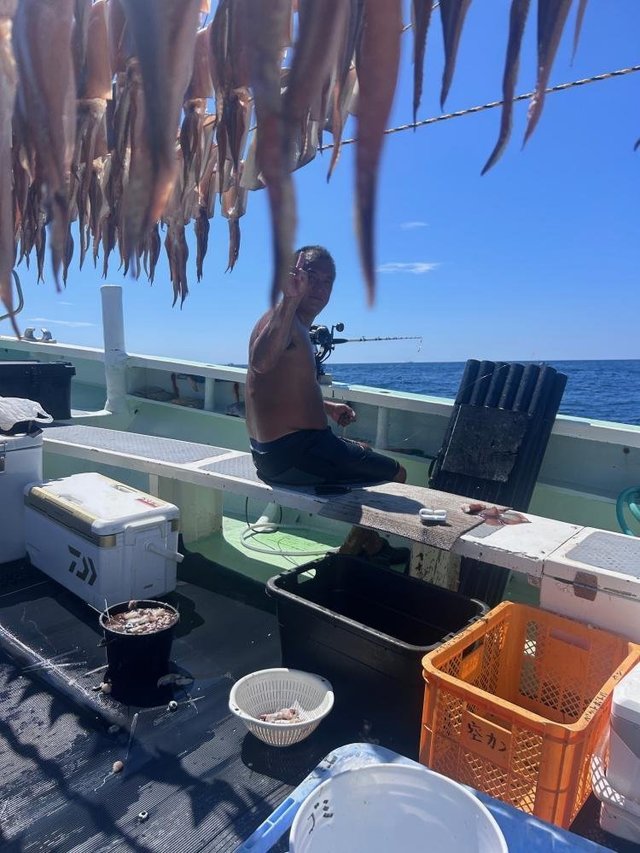 スルメ(スルメイカ)