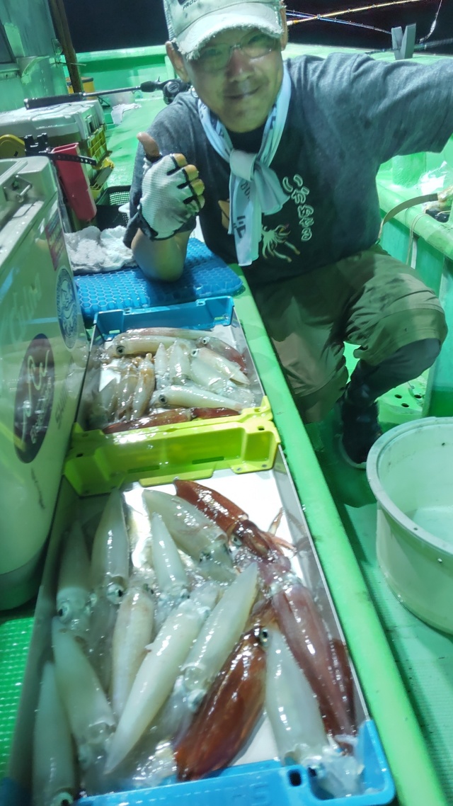 マルイカ(ケンサキイカ)