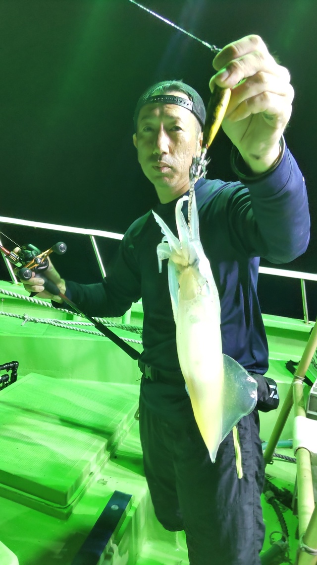 マルイカ(ケンサキイカ)