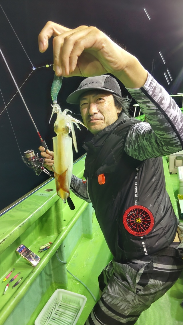 マルイカ(ケンサキイカ)