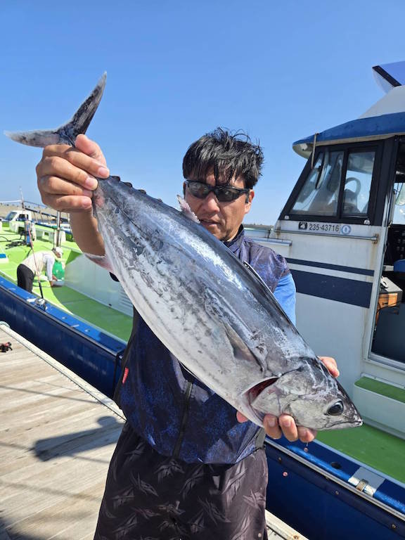 ホンガツオ(カツオ)