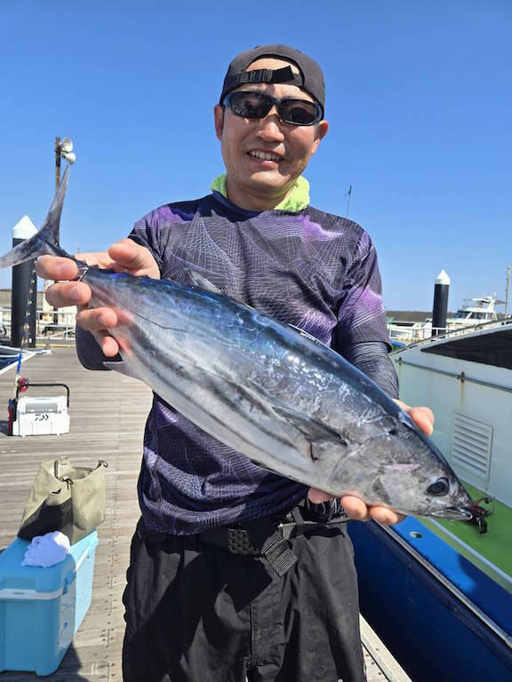 ホンガツオ(カツオ)