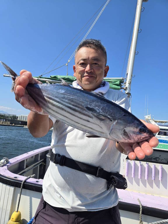 ホンガツオ(カツオ)