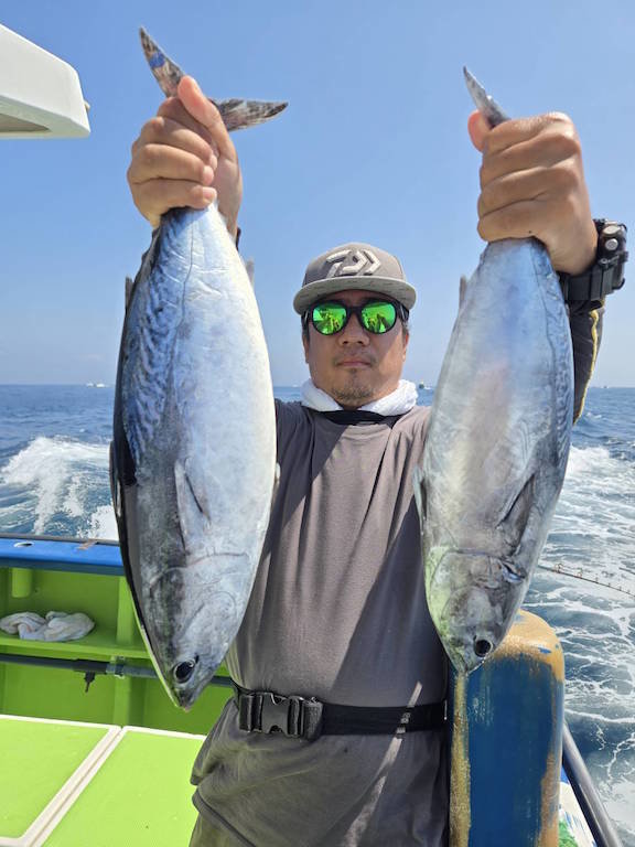 カツオ・ソーダ(ヒラソウダ)