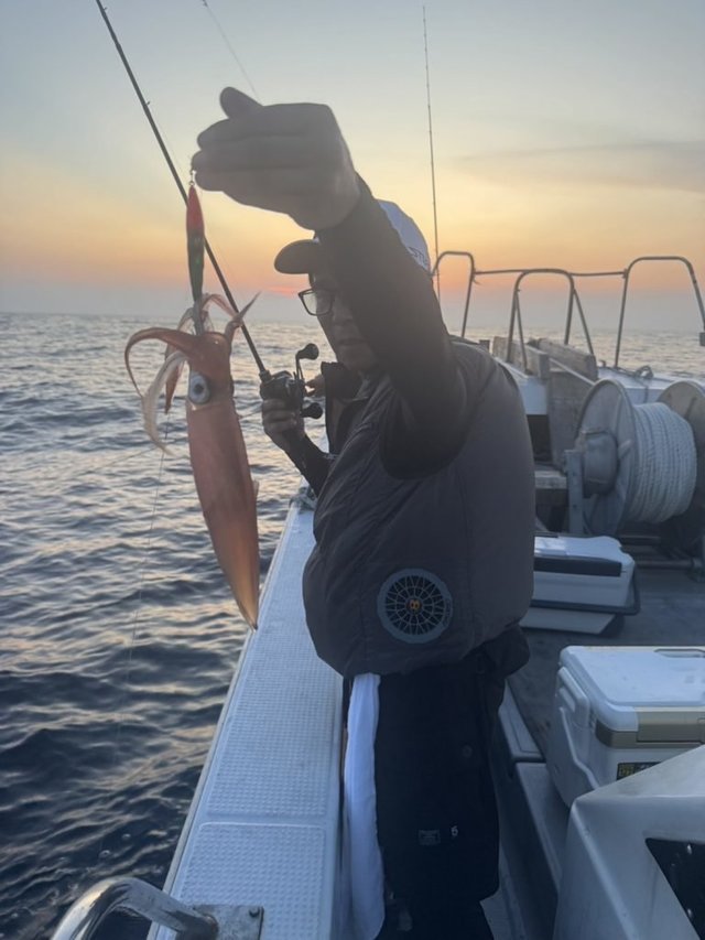 シロイカ(ケンサキイカ)