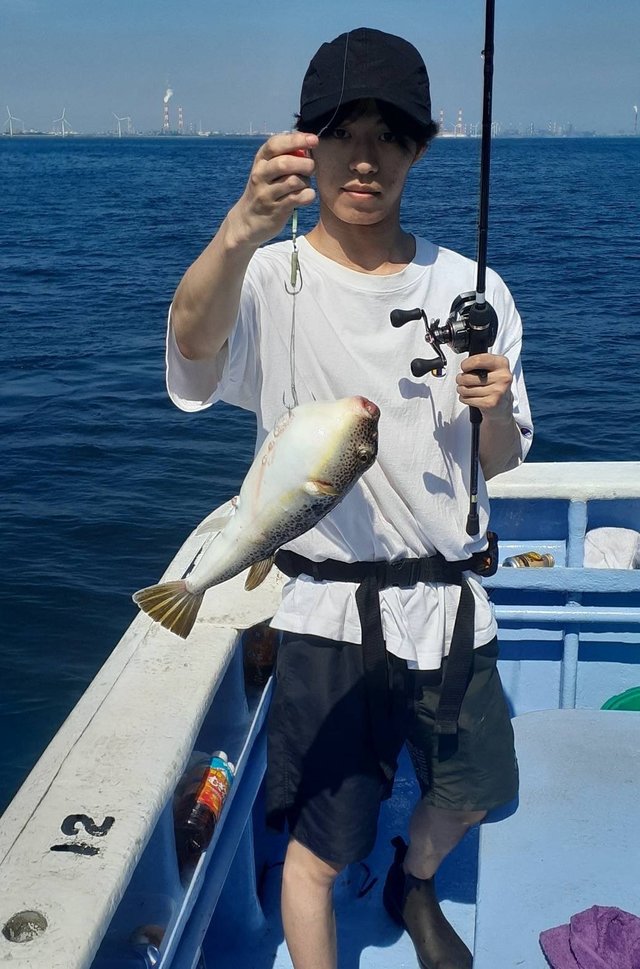 ショウサイフグ