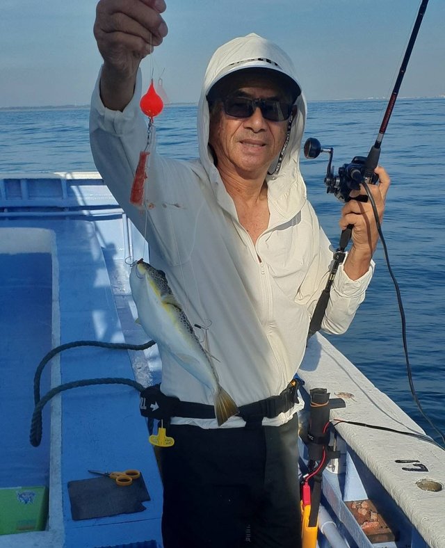 ショウサイフグ