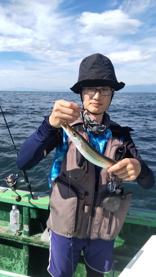 カマス(アカカマス)