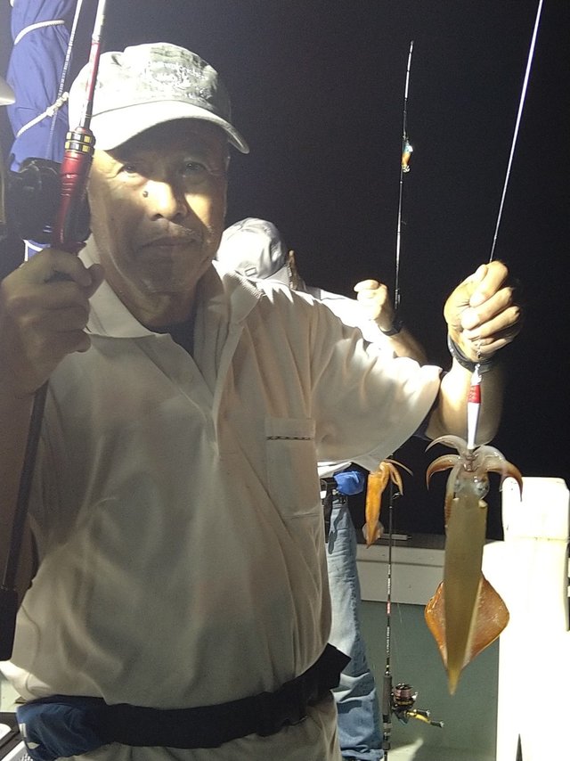 ケンサキ(ケンサキイカ)