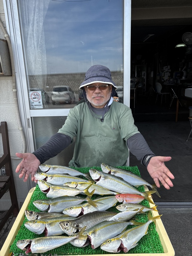 アジ(マアジ)・イナダ(ブリ)