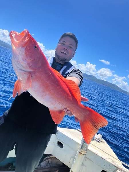 アカジン(スジアラ)