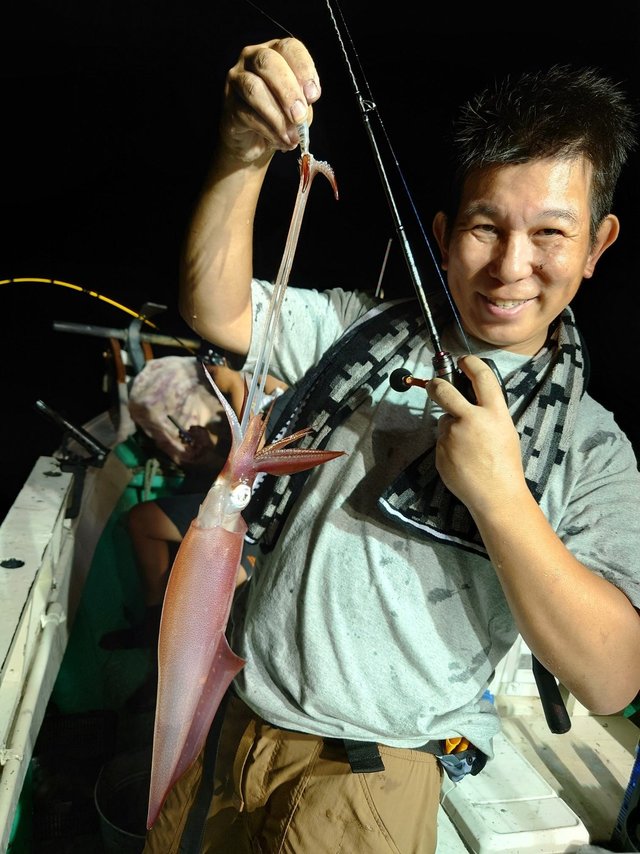 シロイカ(ケンサキイカ)