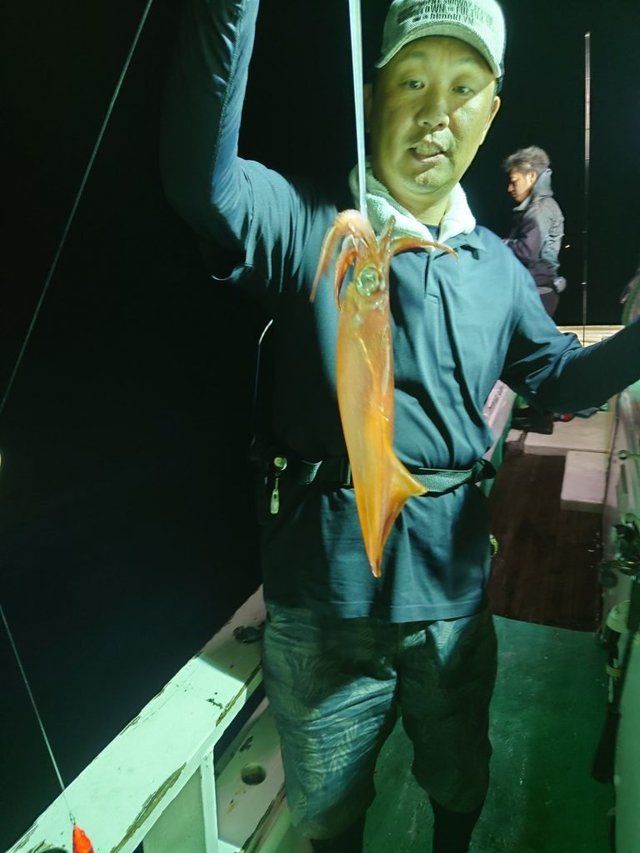 シロイカ(ケンサキイカ)