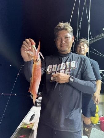 イカ(ヤリイカ)