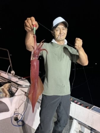 イカ(ヤリイカ)