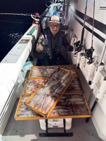 イカ(ヤリイカ)