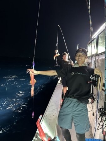 イカ(ヤリイカ)