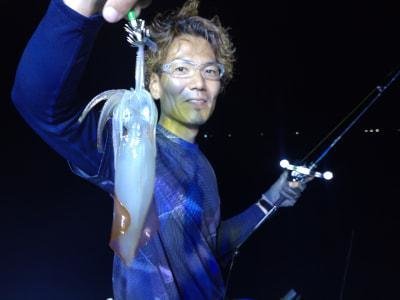 マイカ(ケンサキイカ)