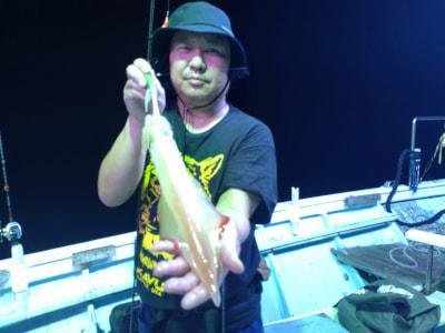 マイカ(ケンサキイカ)