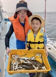 アジ(マアジ)・ヒラメ