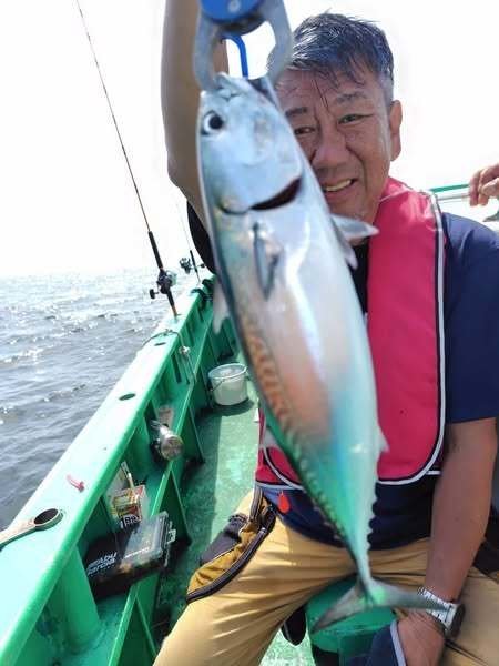 ソーダガツオ(マルソウダ)