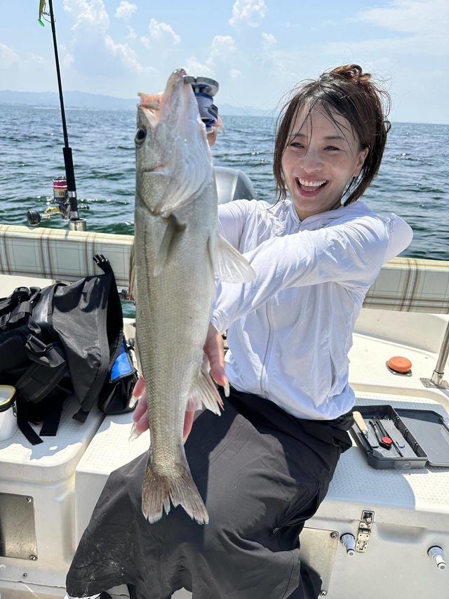 シーバス(スズキ)