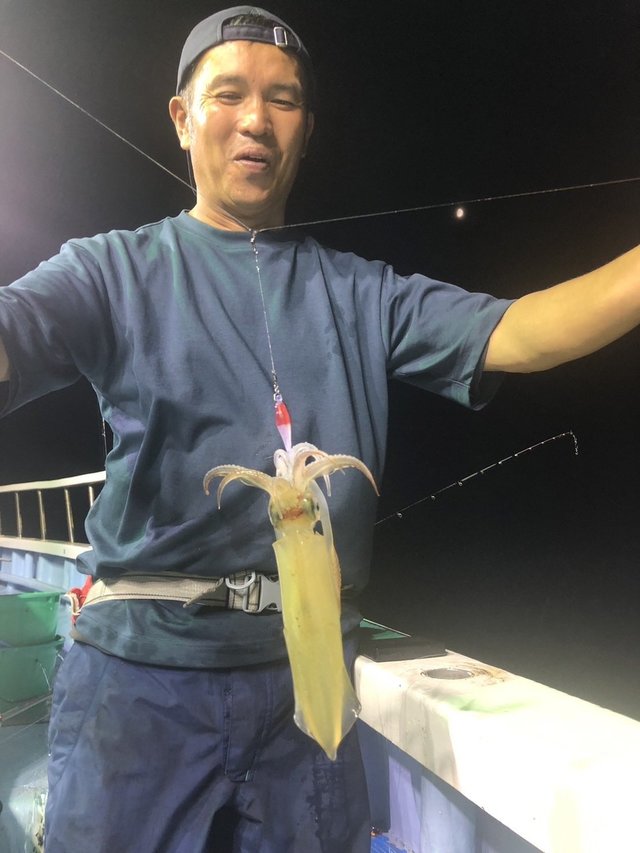 マルイカ(ケンサキイカ)