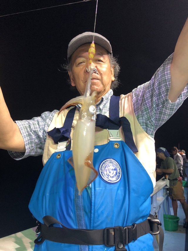 マルイカ(ケンサキイカ)