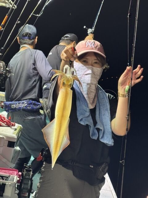 マイカ(ケンサキイカ)