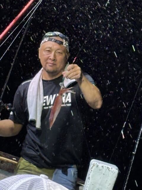 マイカ(ケンサキイカ)