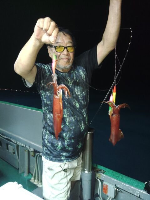 イカ(ヤリイカ)