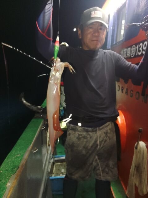 イカ(ヤリイカ)