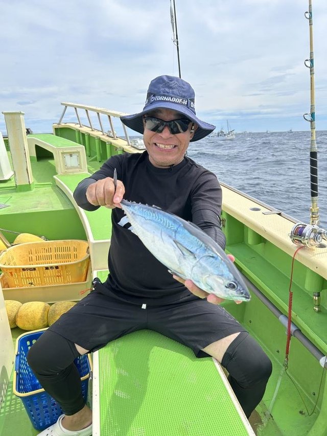 ホンガツオ(カツオ)