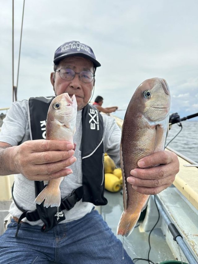 アマダイ(アカアマダイ)