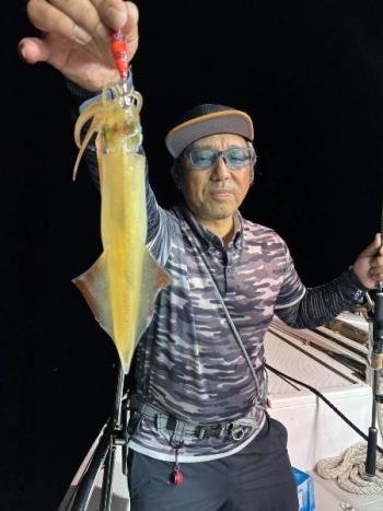 マイカ(ケンサキイカ)