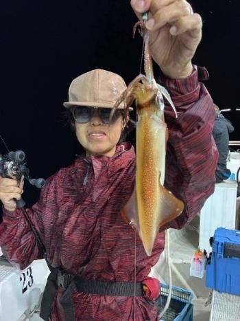 マイカ(ケンサキイカ)