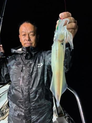 マイカ(ケンサキイカ)