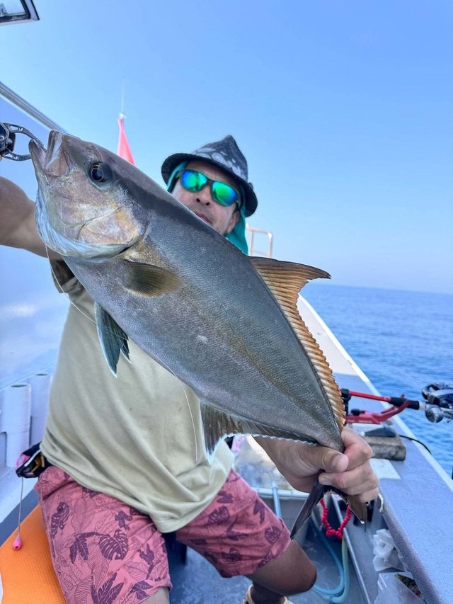 ヒレナガカンパチ