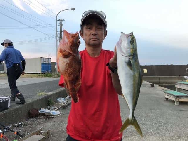 ツバス(ブリ)・カサゴ