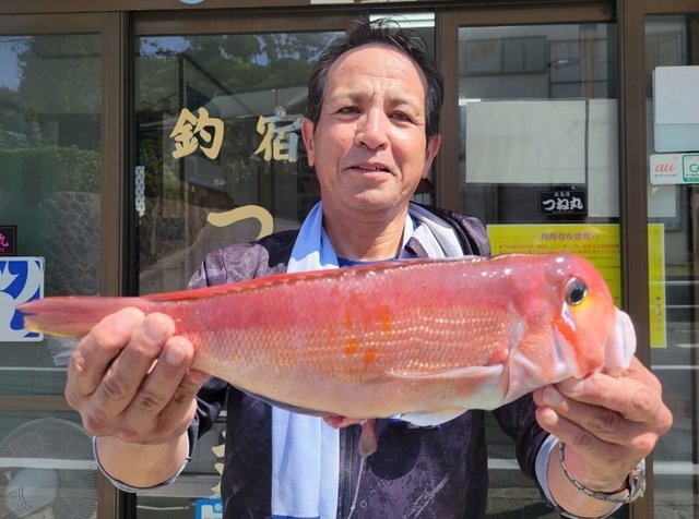 アマダイ(アカアマダイ)